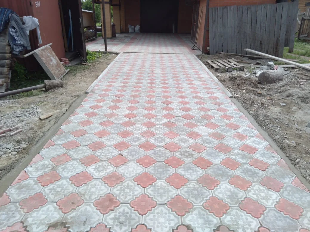 Клевер краковский