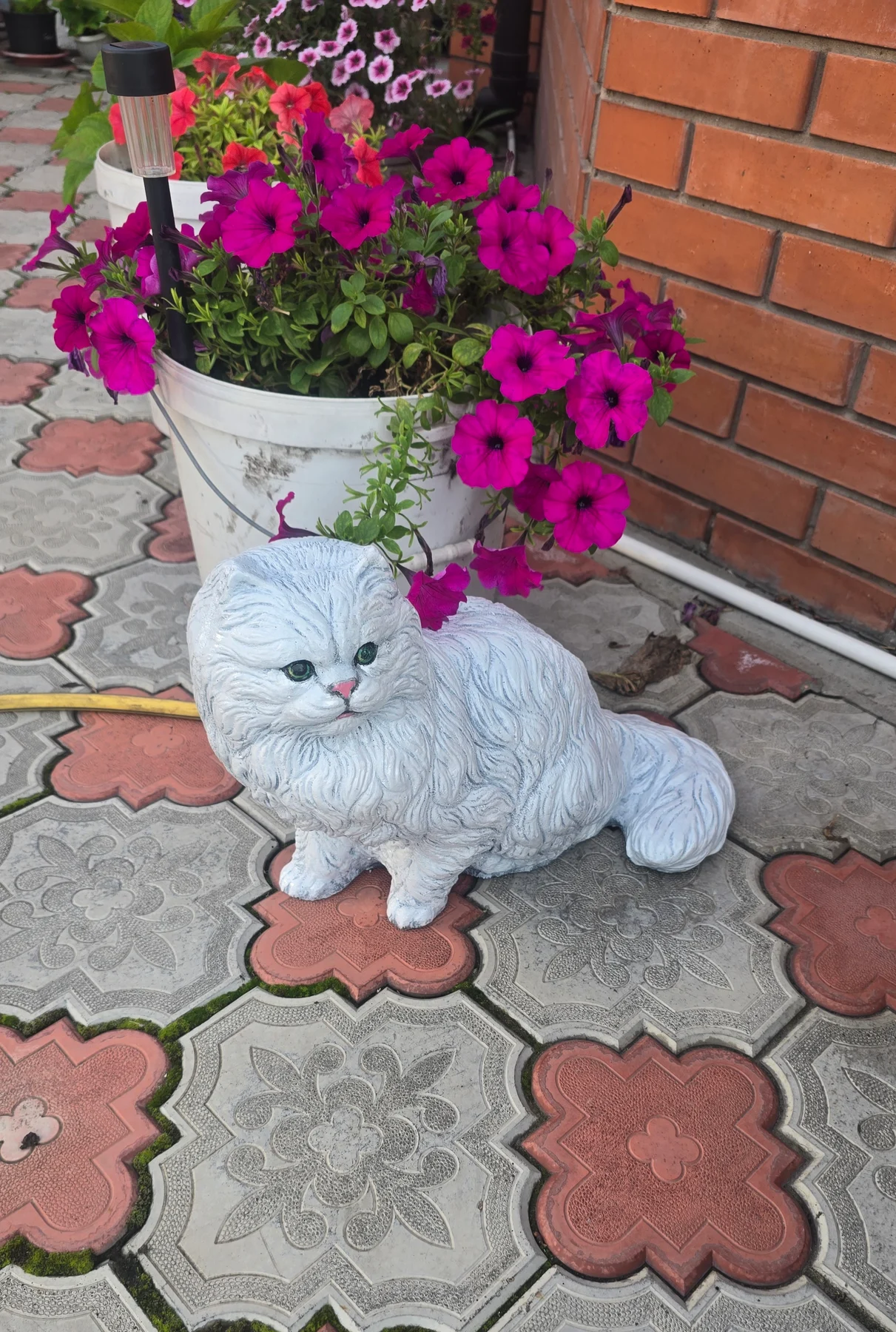 Кошечка